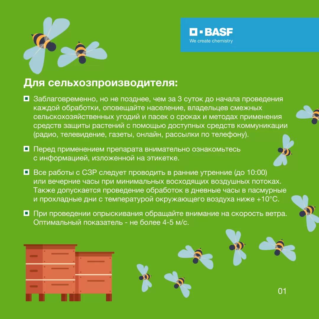 BASF заботится об окружающей среде 🌱