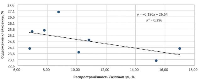 Fusarium sp. и её влияние на качество зерна яровой пшеницы (Эксперимент).