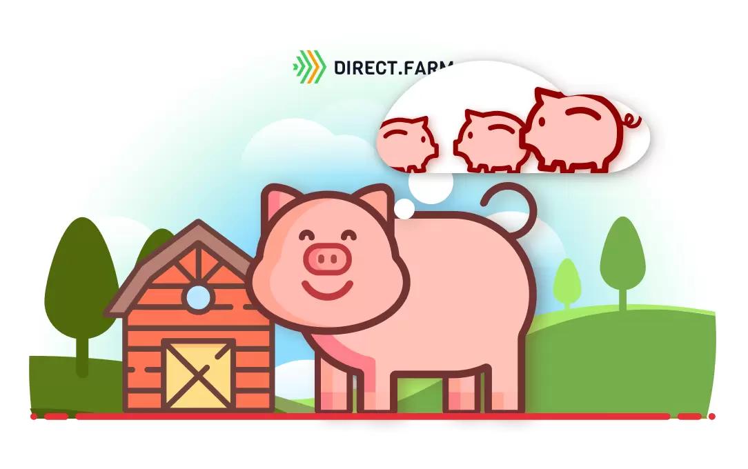 Почему нарушается воспроизводительный цикл у свиноматок?