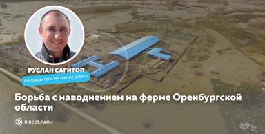 Как справлялось животноводческое предприятие Оренбургской области с наводнением