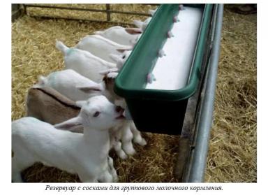 Харвуд – "Ветеринарное руководство по здоровью и благополучию коз". Гл. 8., ч. 1