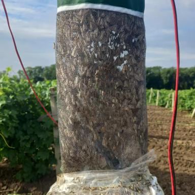 Спороловушки и светоловушки для мониторинга численности вредителей. 