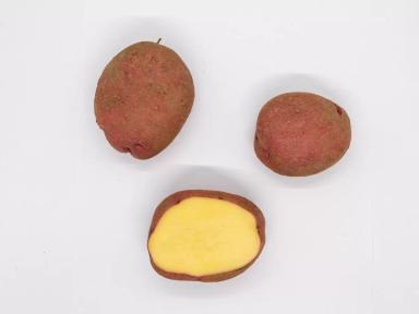 Пламя картофель от СХП «Дары Малиновки»