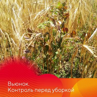 НордСтрим® – сила и надежность тройственного союза.