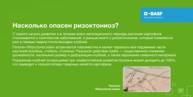 СЕРКАДИС®: боремся с ризоктониозом картофеля