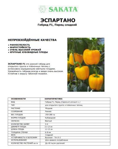 Эспартано F1 (ESPARTANO)