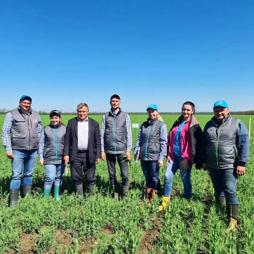 Вести с полей. Ставропольский край