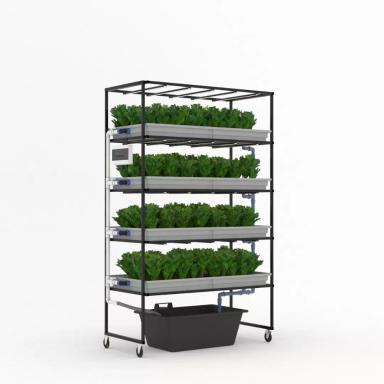 Аэропоника: руководство по выращиванию растений без почвы