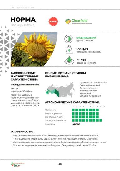 Норма гибрид подсолнечника
