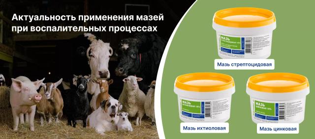 Актуальность применения мазей при воспалительных процессах