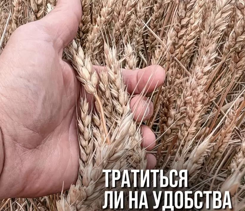 БУДЕТ ЛИ ФЕРМЕР ТРАТИТЬСЯ НА УДОБСТВА РАБОТЫ МЕХАНИЗАТОРА?
