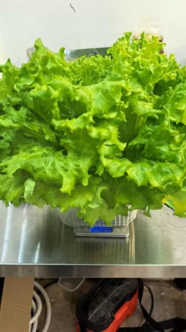 Можно ли получить грант на вертикальную ферму — разбираю все варианты