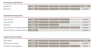 Мерседес (MERSEDES)