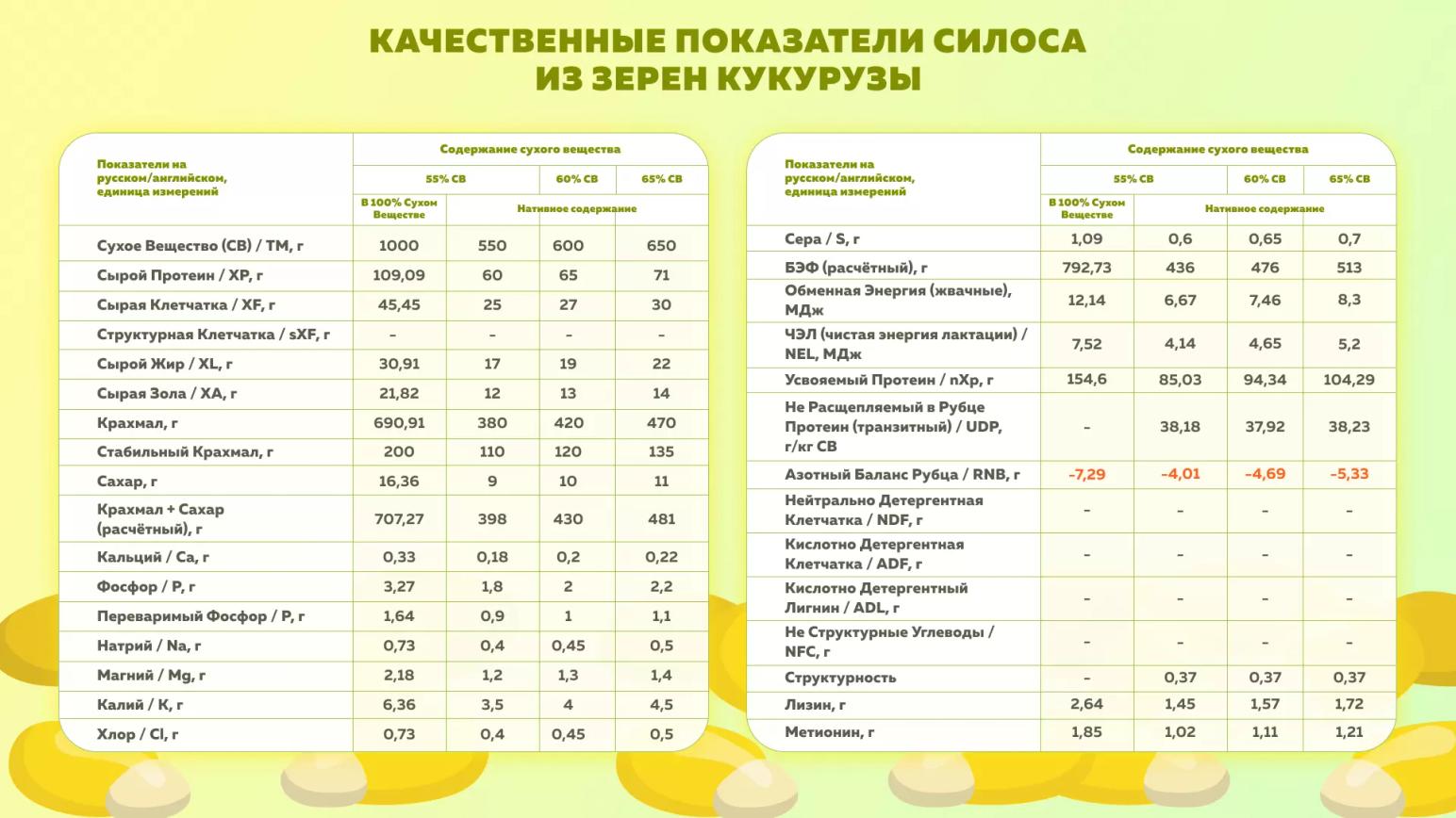 Качественные показатели силоса из зерен кукурузы