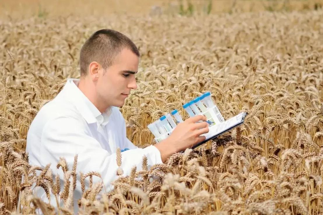 Молодым аграриям Свердловской области выплатят до 200 тыс. рублей