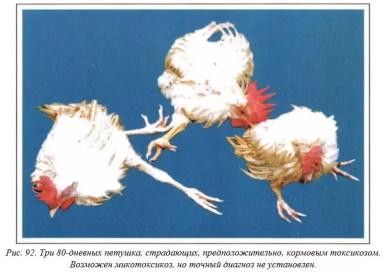 Вегад - Атлас болезней птицы. Ч. 17. Неуточненная грибковая. Ч. 18. Афлатоксикоз