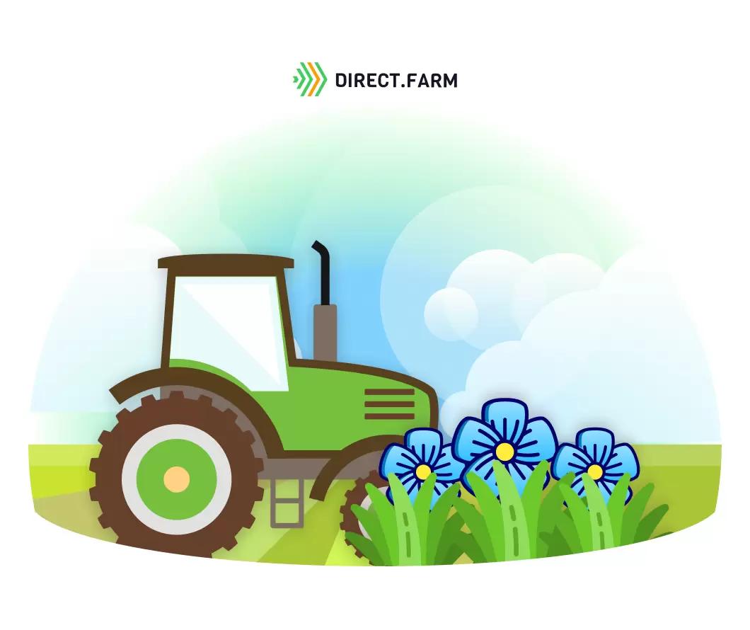 Лён по технологии no-till