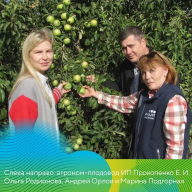 Итоги «Садового тура» «Августа»