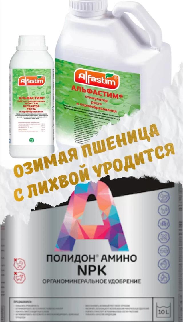 Опыт применения препаратов ПОЛИДОН на озимой пшенице