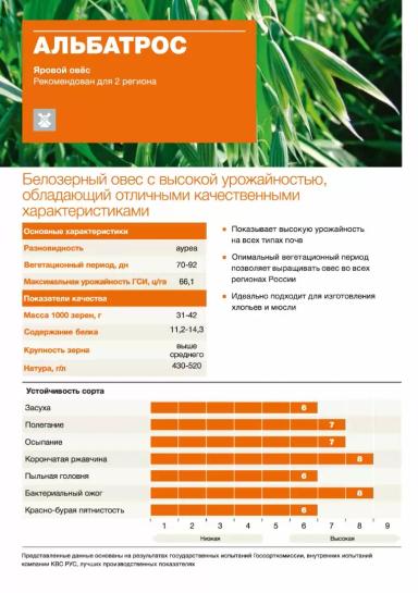 Альбатрос сорт ярового овса