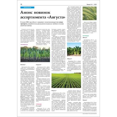 Январский номер «Поля Августа»