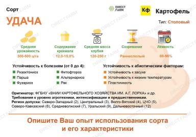 Удача картофель