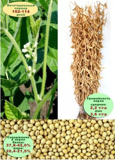 Белгородская 6