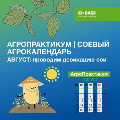 Соевый агрокалендарь: август
