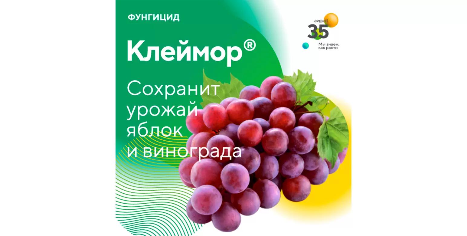 Клеймор® – фунгицид для защиты яблони, винограда и лука