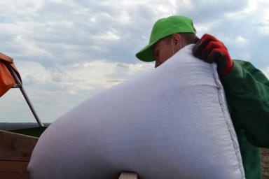 На Агрополигоне «Приволжье» посеяли сою