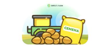 Норма высева озимой пшеницы в зависимости от типа кущения сорта