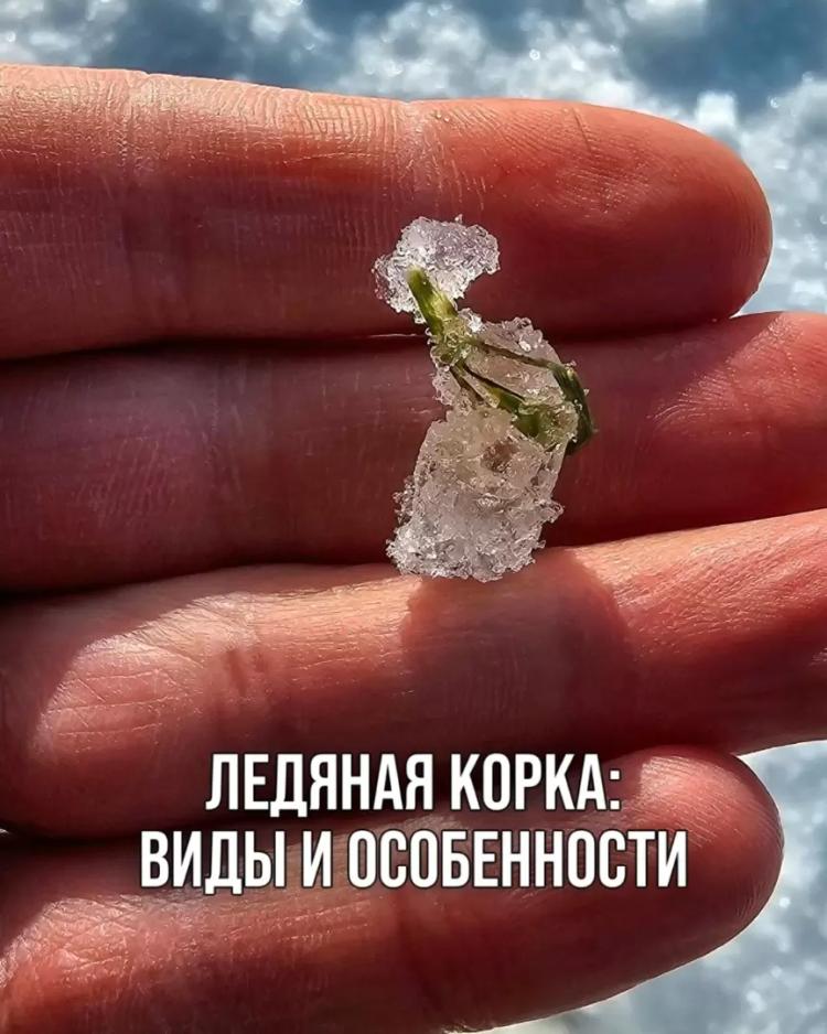 ЛЕДЯНАЯ КОРКА: ЕЁ ВИДЫ И ОСОБЕННОСТИ