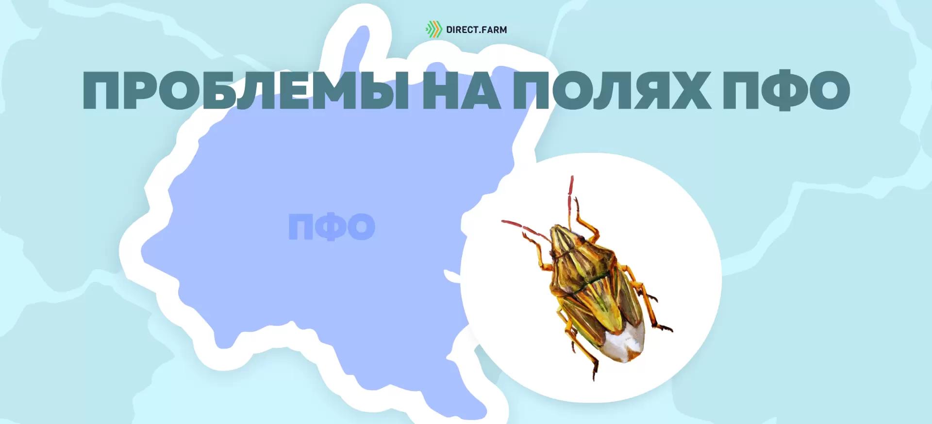 Угроза: Элия остроголовая