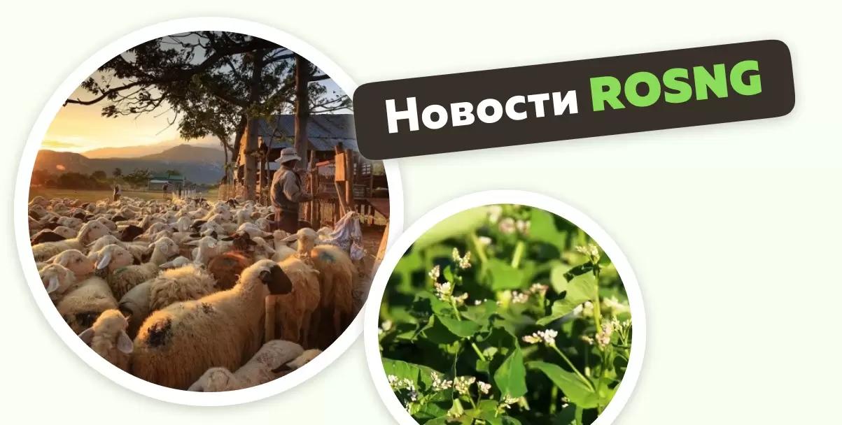 Обзор новостей за 16 мая