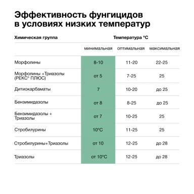 Что важно учитывать при применении фунгицидов?