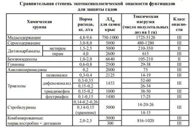 Ранневесеннее опрыскивание яблони по “зеленому конусу”