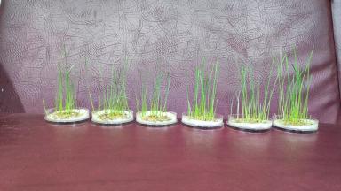 Эксперименты в лаборатории