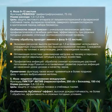 Что нужно знать, чтобы получить максимальный урожай?