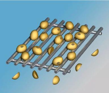 Соя "сильные семена"