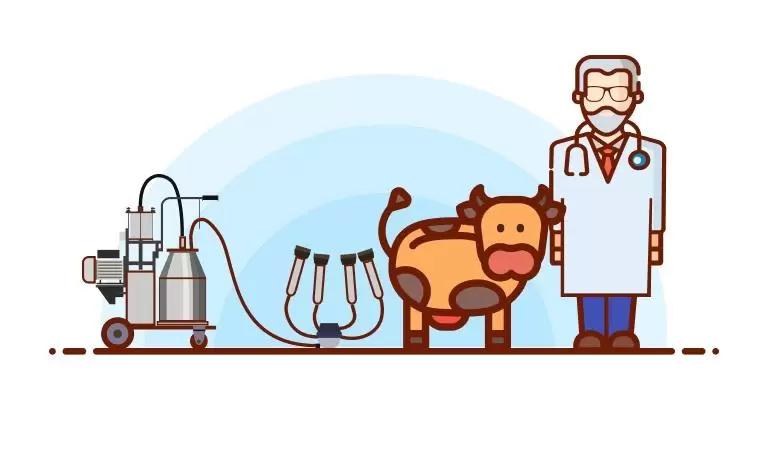 Как влияет доильный аппарат на надой и корову?