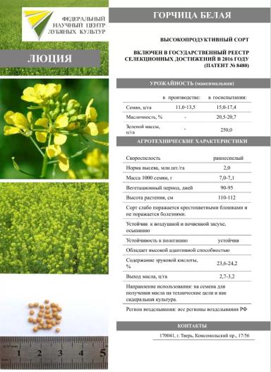 Люция