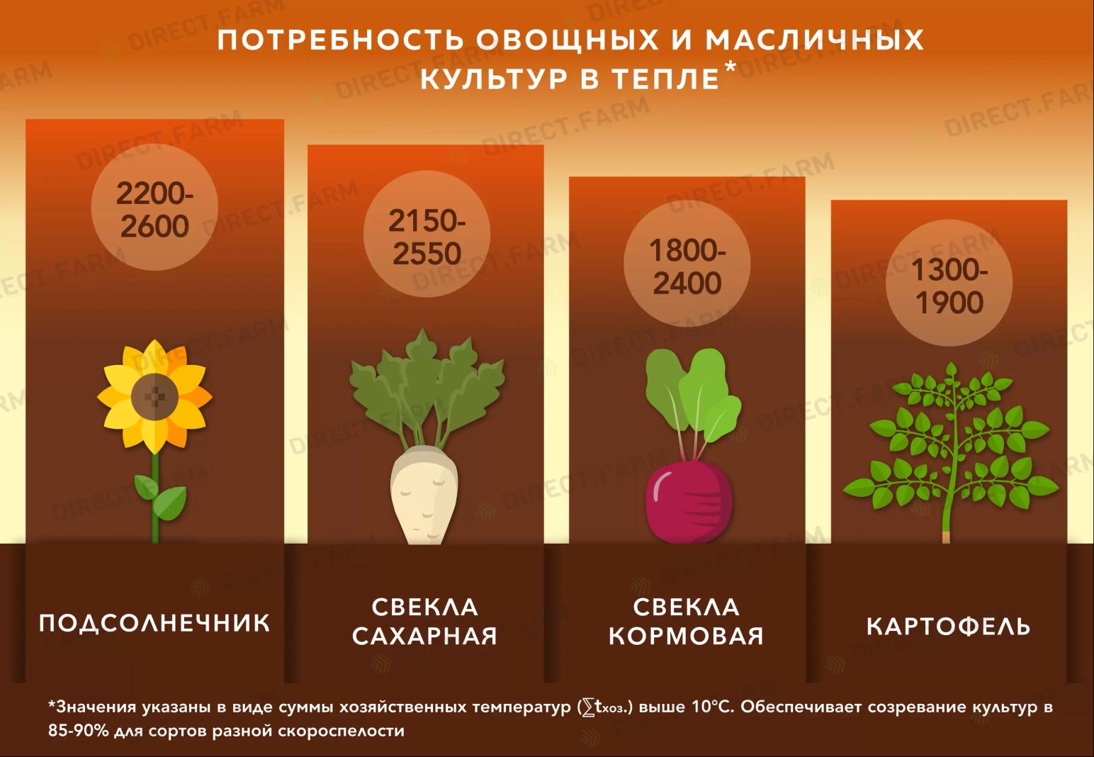 Потребность овощных и масличных культур в тепле