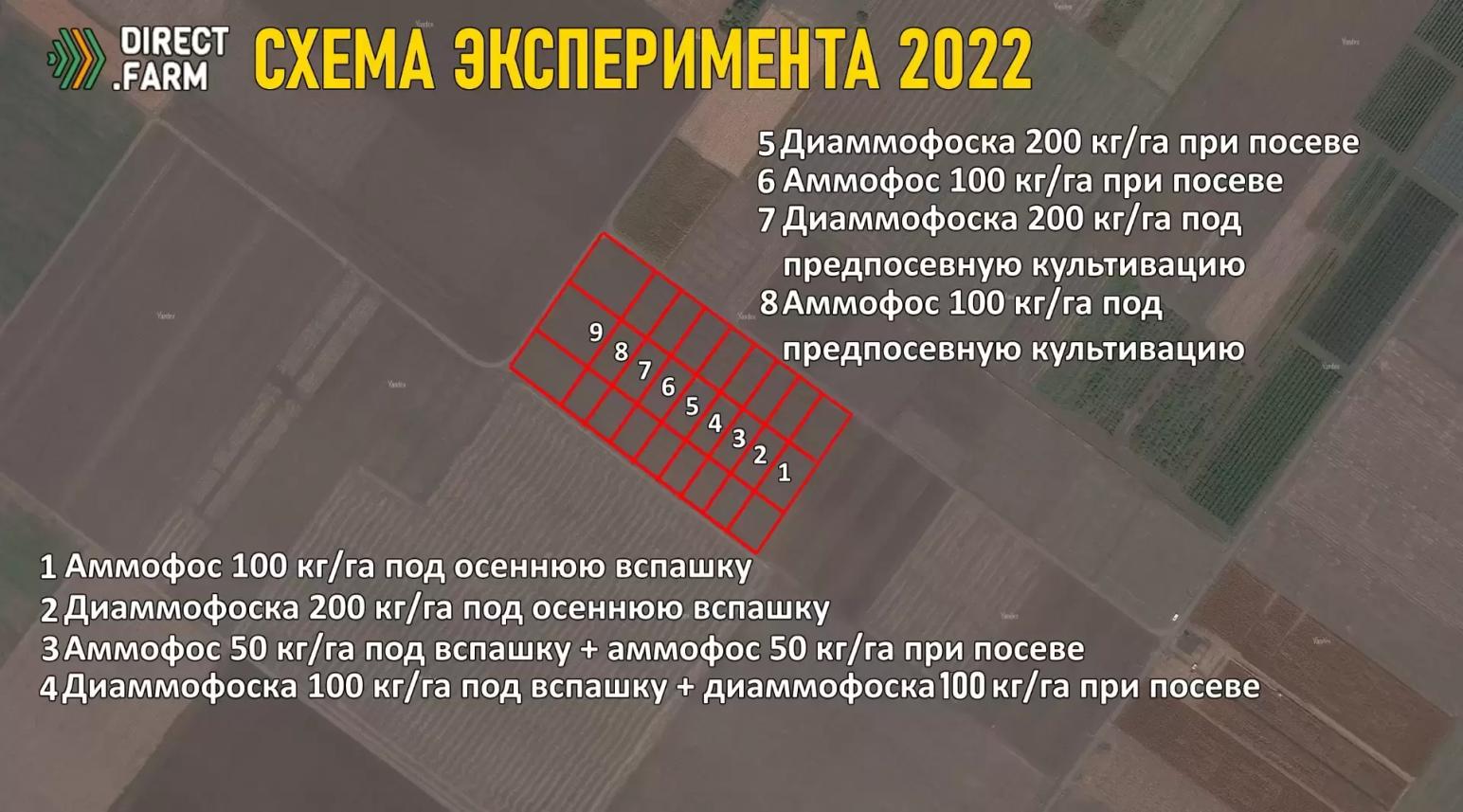 Эксперимент 2022. Болезнь или физиология?