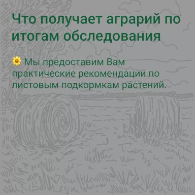 🌾 Как определить дефицит питания у растений? 