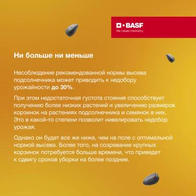 Рост и развитие подсолнечника в зависимости от норм высева