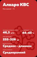 Алваро КВС (ALVARO KWS)