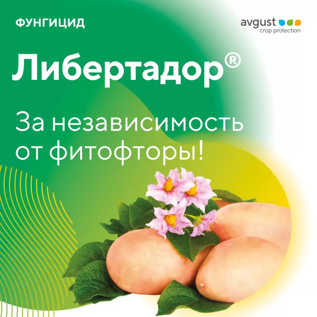 Либертадор® — за независимость от фитофторы!