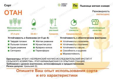 Отан ® сорт мягкой озимой пшеницы