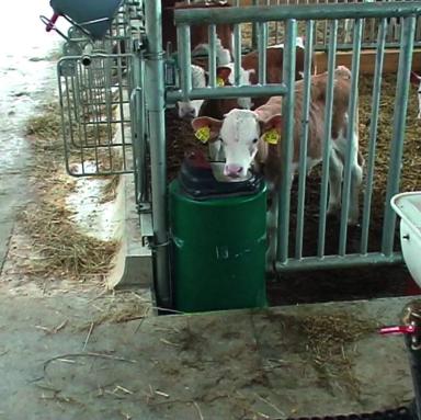 Улучшить производительность на четверть благодаря поилкам?🤔