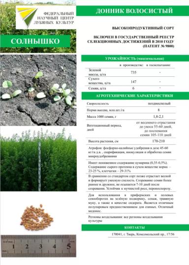 Солнышко